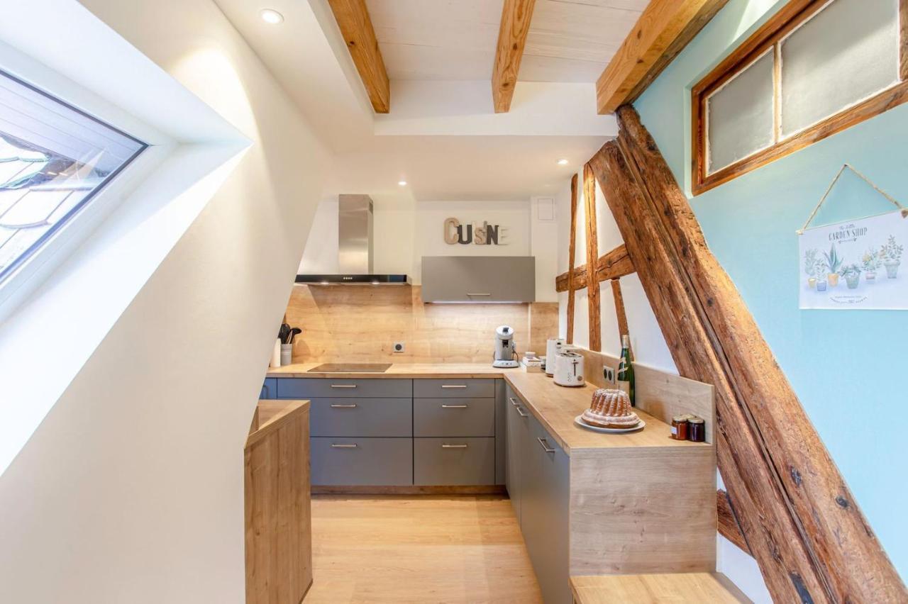 Gite La Rodernelle - Sauna Privatif - Climatisation - Vue Sur Le Chateau Du Haut Koenigsbourg Zewnętrze zdjęcie