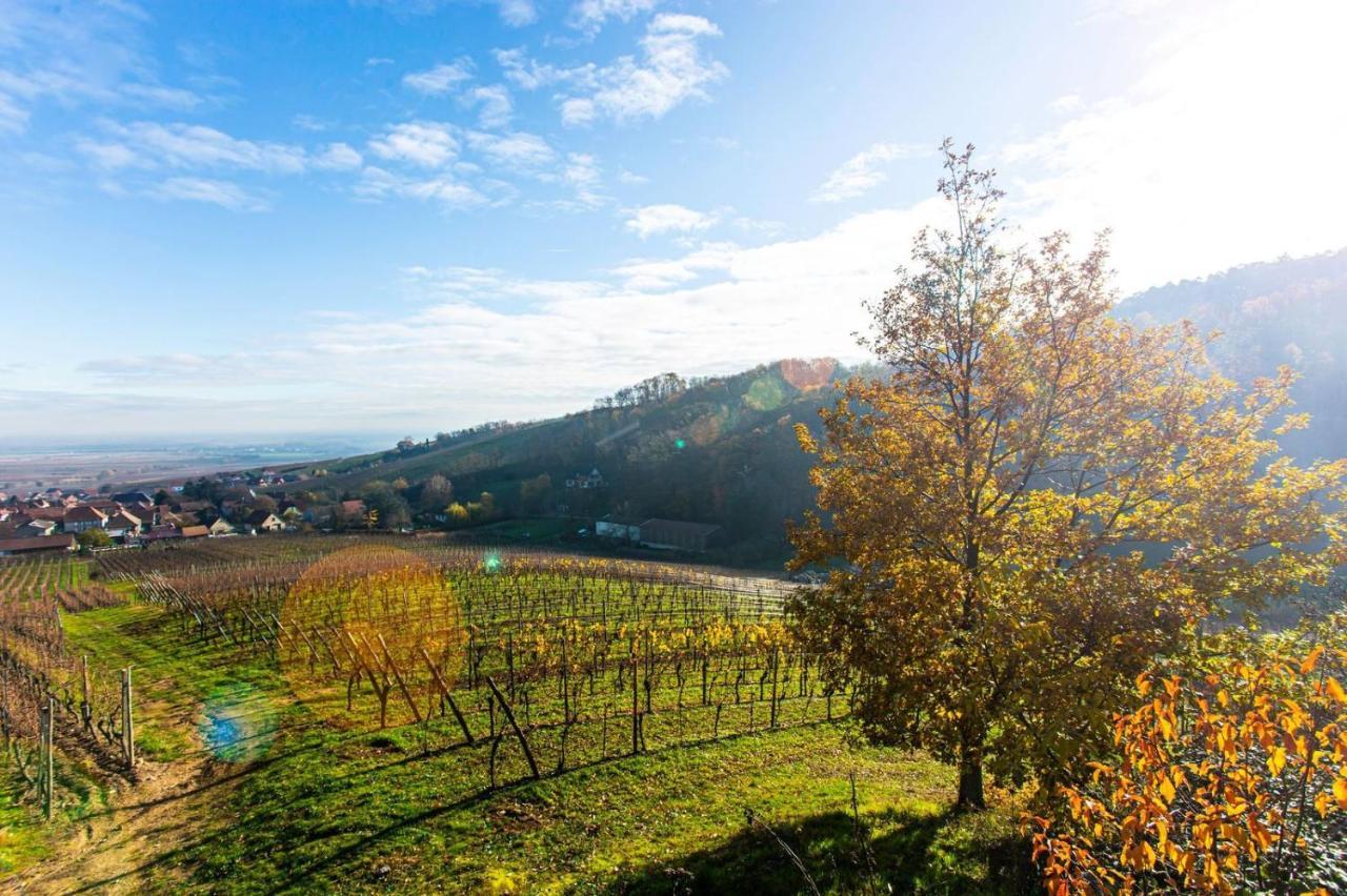 Apartament Gite La Rodernelle - Sauna Privatif - Climatisation - Vue Sur Le Chateau Du Haut Koenigsbourg Zewnętrze zdjęcie