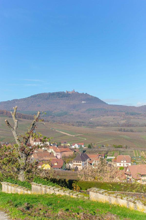 Gite La Rodernelle - Sauna Privatif - Climatisation - Vue Sur Le Chateau Du Haut Koenigsbourg Zewnętrze zdjęcie
