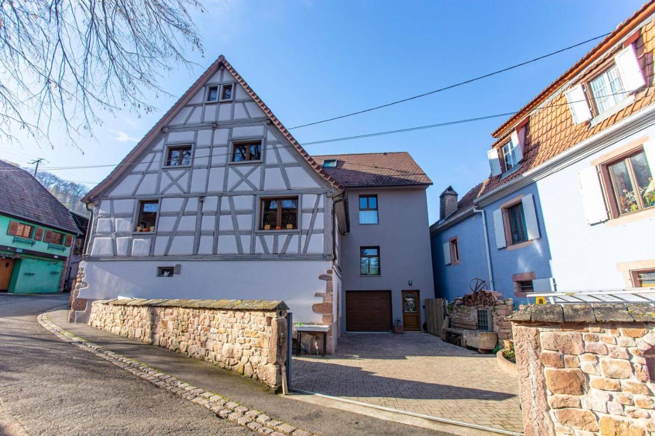 Gite La Rodernelle - Sauna Privatif - Climatisation - Vue Sur Le Chateau Du Haut Koenigsbourg Zewnętrze zdjęcie
