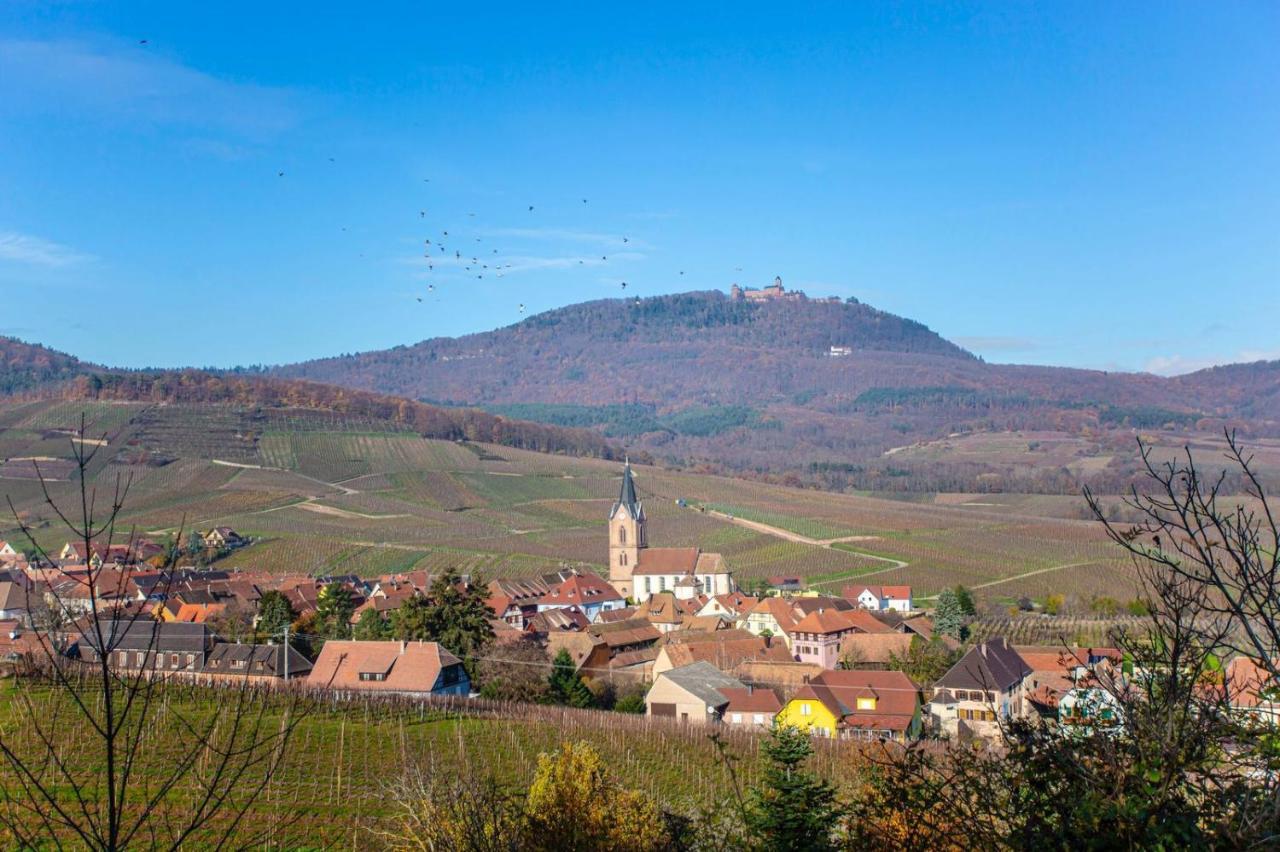 Apartament Gite La Rodernelle - Sauna Privatif - Climatisation - Vue Sur Le Chateau Du Haut Koenigsbourg Zewnętrze zdjęcie