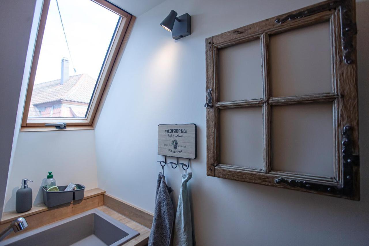 Gite La Rodernelle - Sauna Privatif - Climatisation - Vue Sur Le Chateau Du Haut Koenigsbourg Zewnętrze zdjęcie