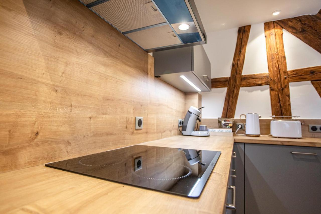 Gite La Rodernelle - Sauna Privatif - Climatisation - Vue Sur Le Chateau Du Haut Koenigsbourg Zewnętrze zdjęcie